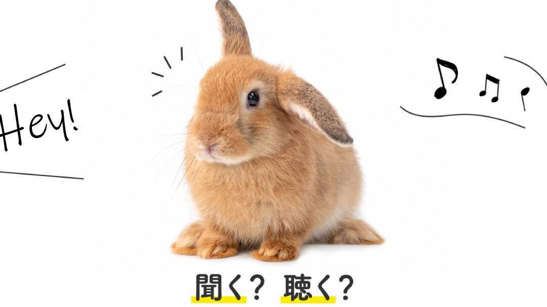 歌を聴く 聞く どっちの使い方と違いについて